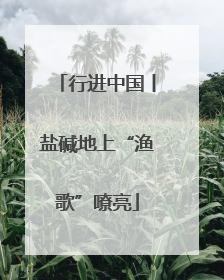 行进中国丨盐碱地上“渔歌”嘹亮